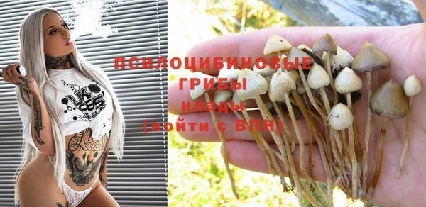 хмурый Коряжма