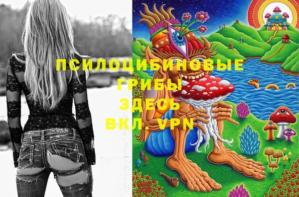 jwh Костерёво