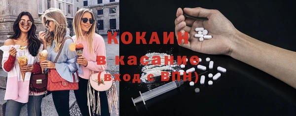 ешки Корсаков