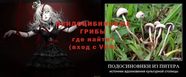 ешки Корсаков