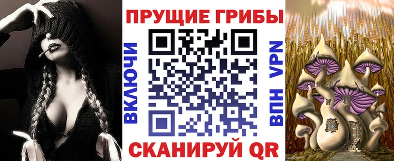MEGA как зайти  Муравленко  Псилоцибиновые грибы мицелий 
